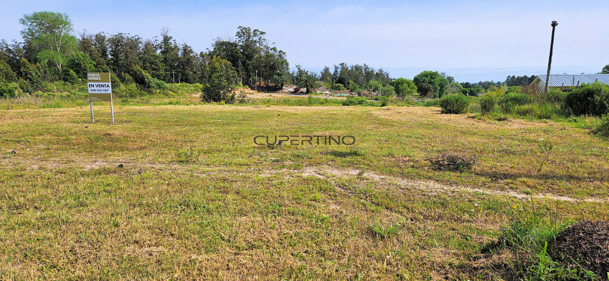 Venta de Terreno de 1200 m2 frente al Club de Golf de Punta del Este. — foto 2