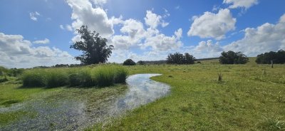 Venta de chacra de 9 hs en José Ignacio, Punta del Este.