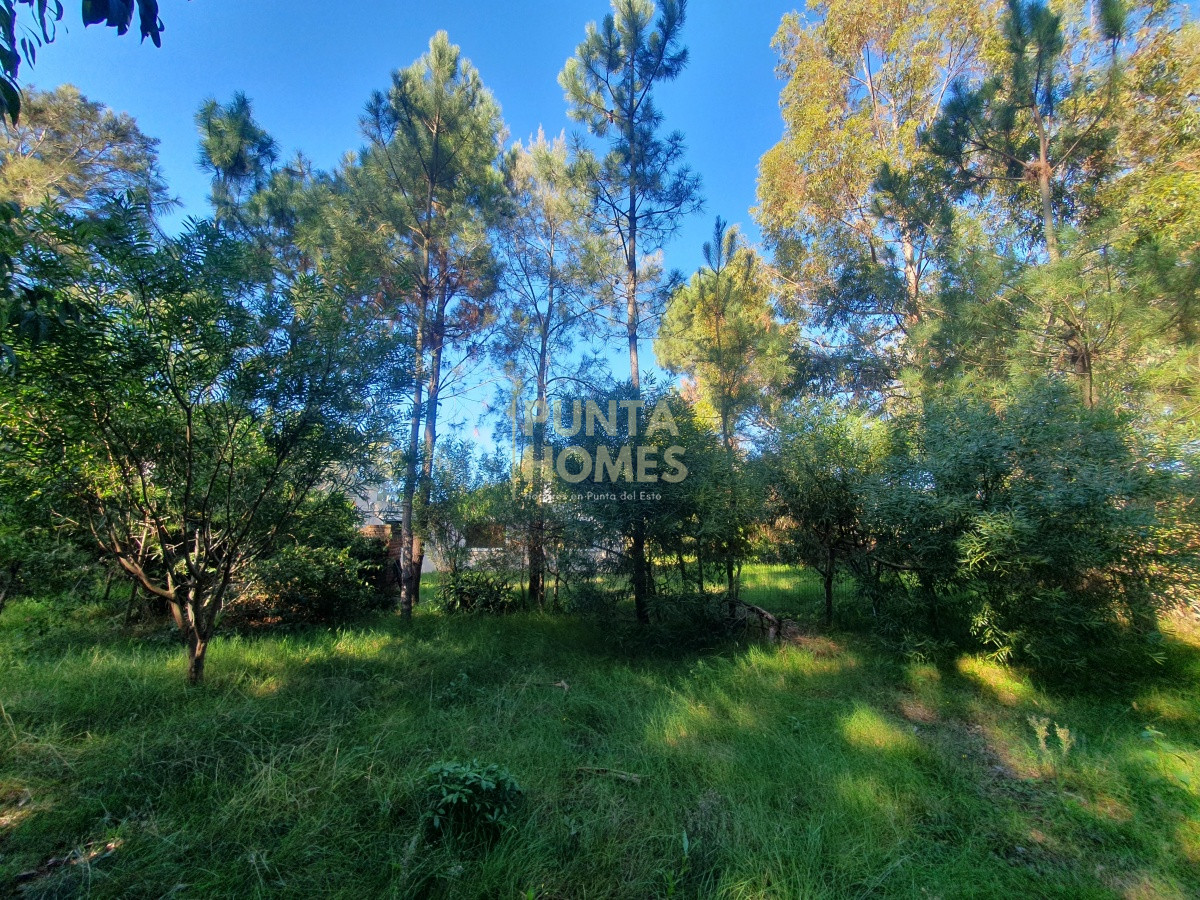Casa ID.1691 - Venta de casa de 3 dormitorios y 2 baños en Pinares, Punta del Este.