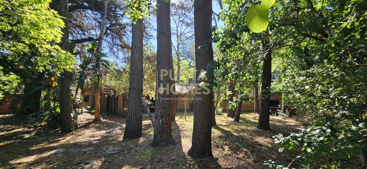 Casa ID.3837 - Venta de Casa de 4 dormitorios sobre Pedragosa Sierra, Punta del Este. 