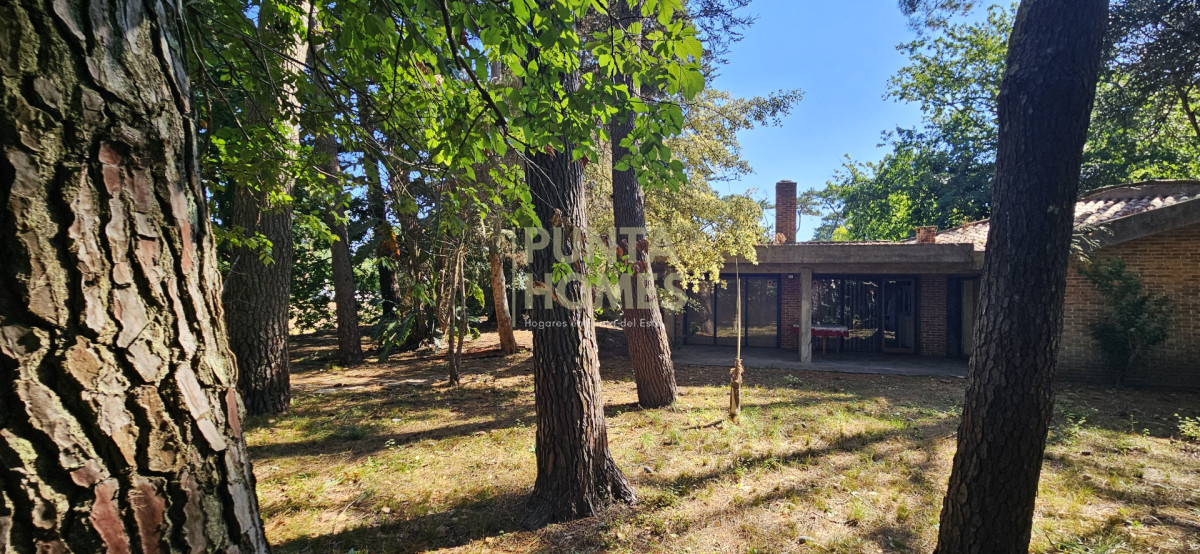 Casa ID.3837 - Venta de Casa de 4 dormitorios sobre Pedragosa Sierra, Punta del Este. 