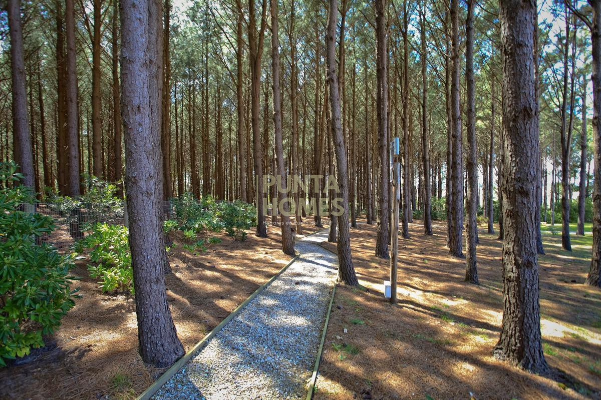Chacra ID.1274 - Venta de chacra de 4 dormitorios en Punta del Este