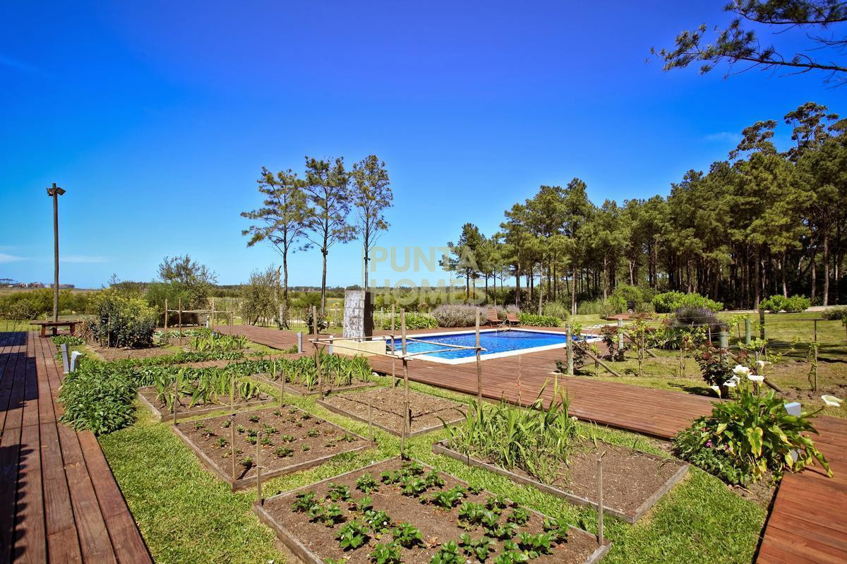 Chacra ID.1274 - Venta de chacra de 4 dormitorios en Punta del Este