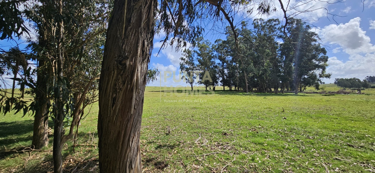 Chacra ID.3803 - Venta de chacra de 9 hs en José Ignacio, Punta del Este.