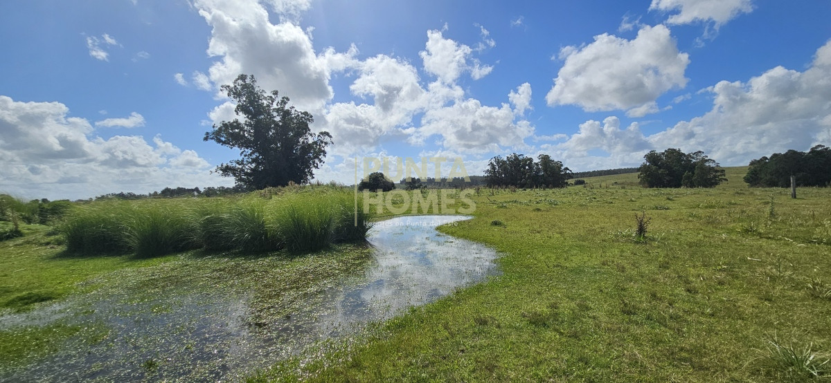 Chacra ID.3803 - Venta de chacra de 9 hs en José Ignacio, Punta del Este.