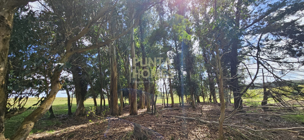 Chacra ID.3803 - Venta de chacra de 9 hs en José Ignacio, Punta del Este.
