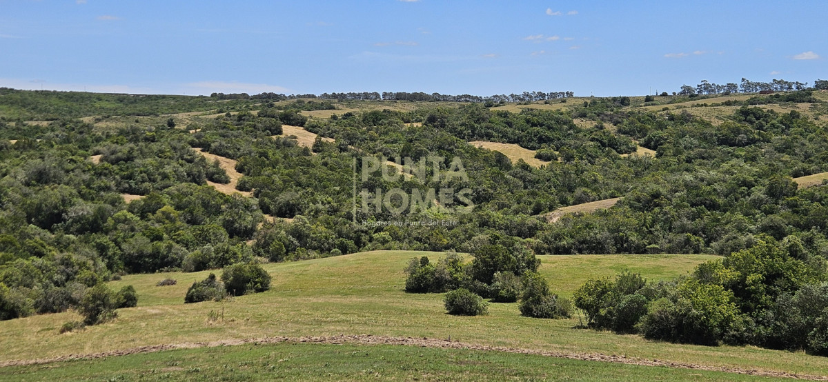 Chacra ID.3931 - Venta de Chacra de 5 hectáreas en Zona Pueblo Garzón  