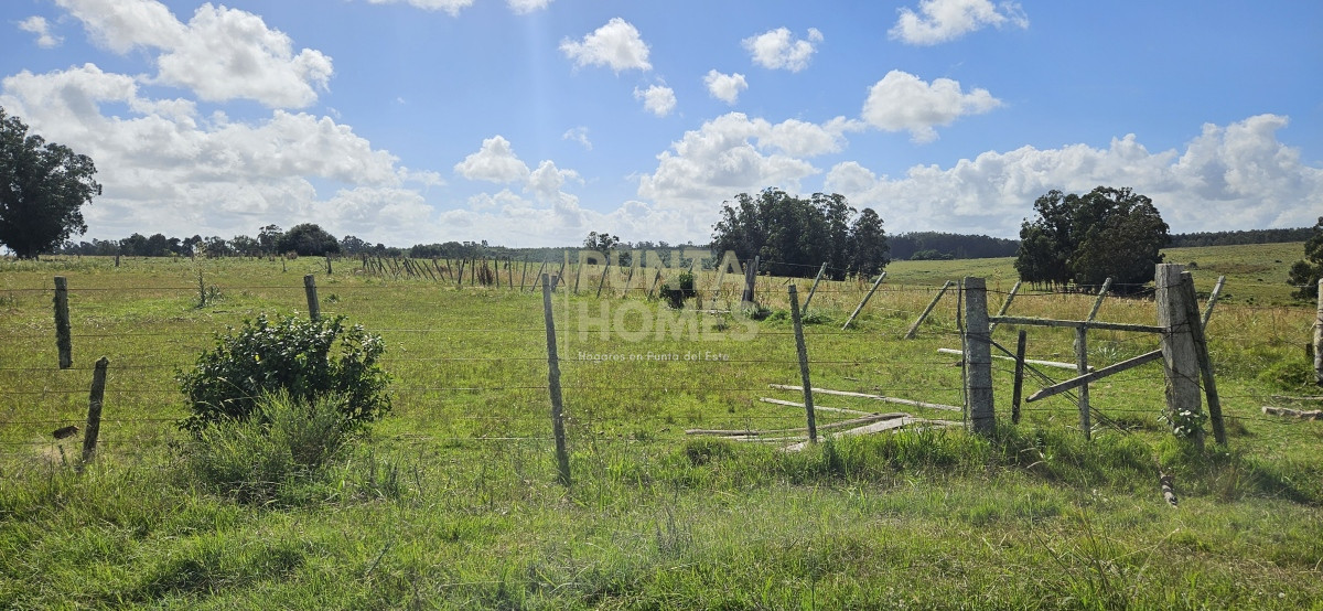 Chacra ID.3803 - Venta de chacra de 9 hs en José Ignacio, Punta del Este.