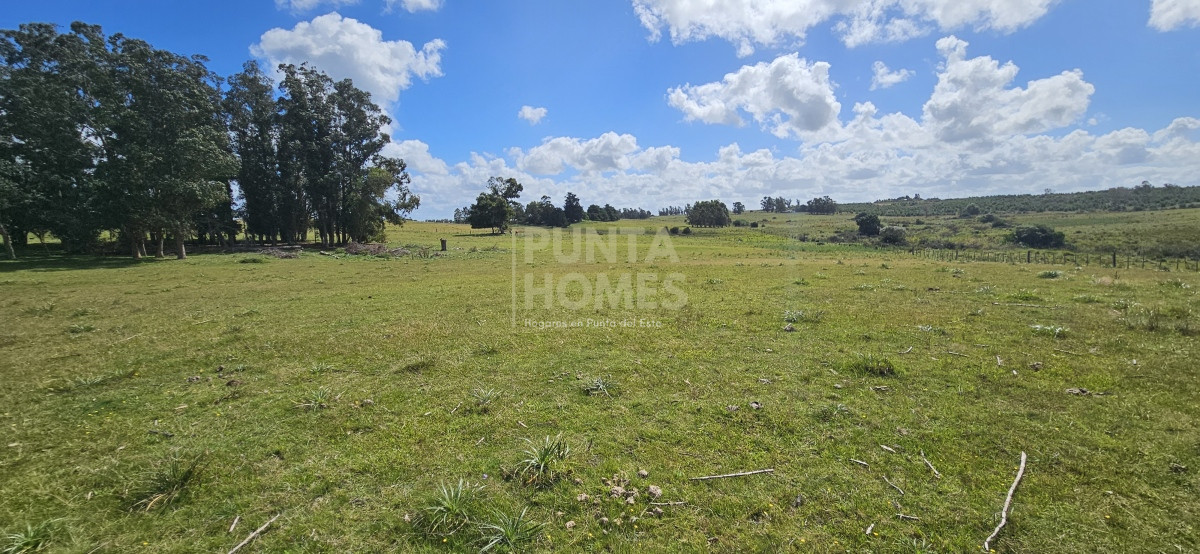 Chacra ID.3803 - Venta de chacra de 9 hs en José Ignacio, Punta del Este.