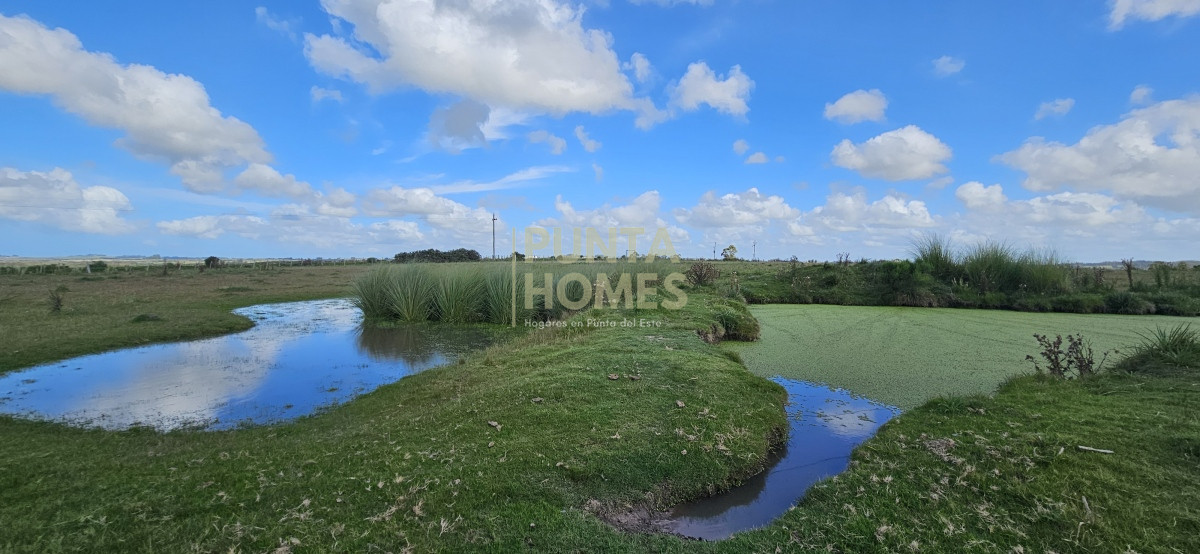 Chacra ID.3803 - Venta de chacra de 9 hs en José Ignacio, Punta del Este.
