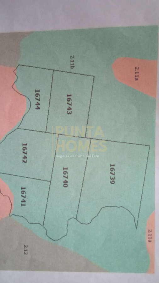 Chacra ID.3845 - Venta Chacra en Rocha 195 hectreas