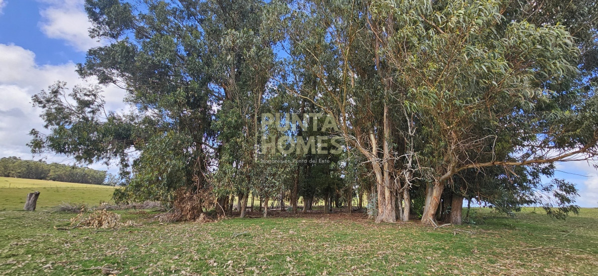 Chacra ID.3803 - Venta de chacra de 9 hs en José Ignacio, Punta del Este.