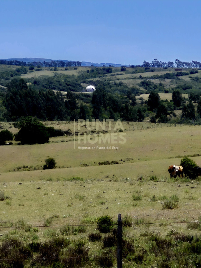 Chacra ID.3931 - Venta de Chacra de 5 hectáreas en Zona Pueblo Garzón  