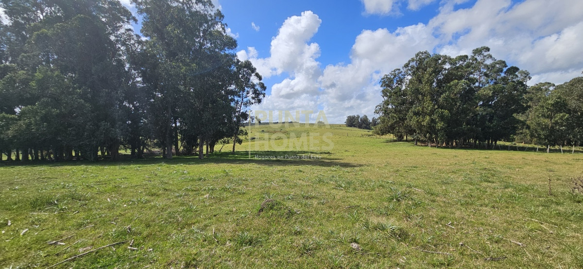 Chacra ID.3803 - Venta de chacra de 9 hs en José Ignacio, Punta del Este.