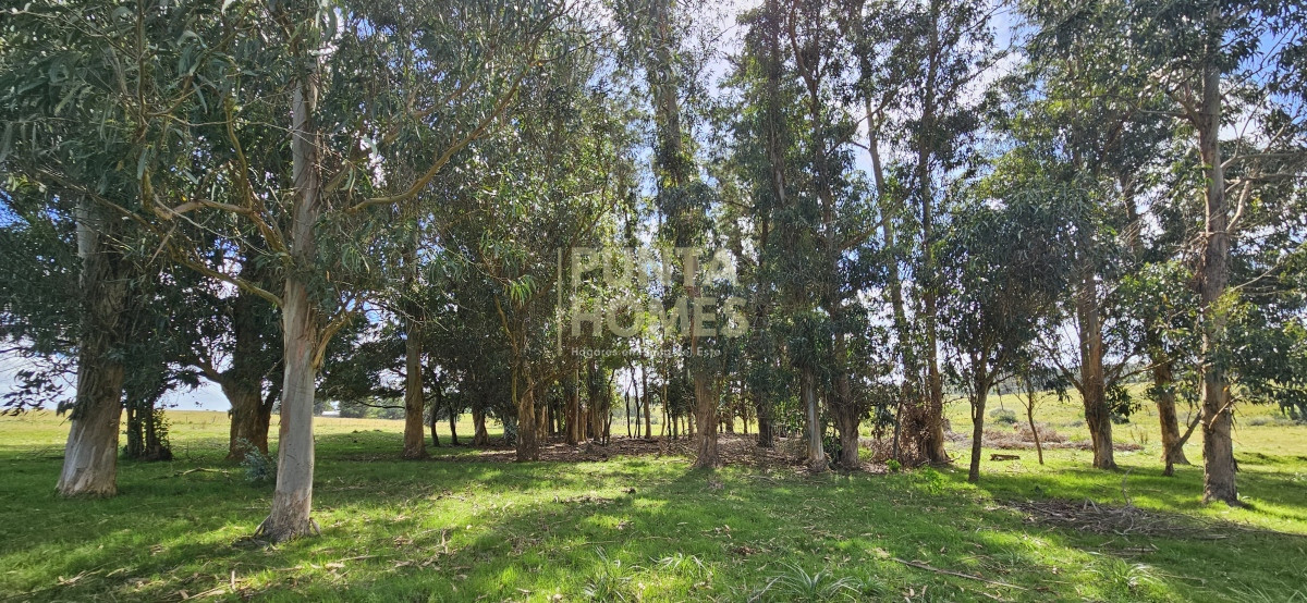 Chacra ID.3803 - Venta de chacra de 9 hs en José Ignacio, Punta del Este.