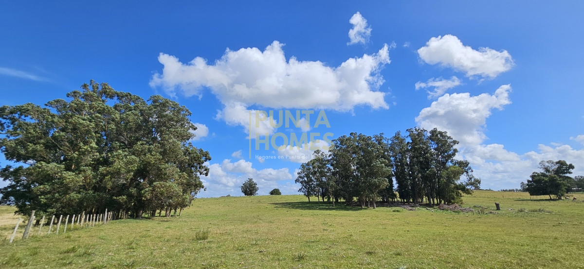 Chacra ID.3803 - Venta de chacra de 9 hs en José Ignacio, Punta del Este.