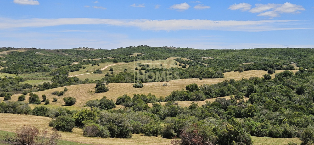 Chacra ID.3931 - Venta de Chacra de 5 hectáreas en Zona Pueblo Garzón  