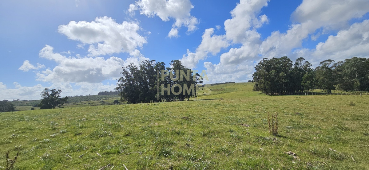 Chacra ID.3803 - Venta de chacra de 9 hs en José Ignacio, Punta del Este.