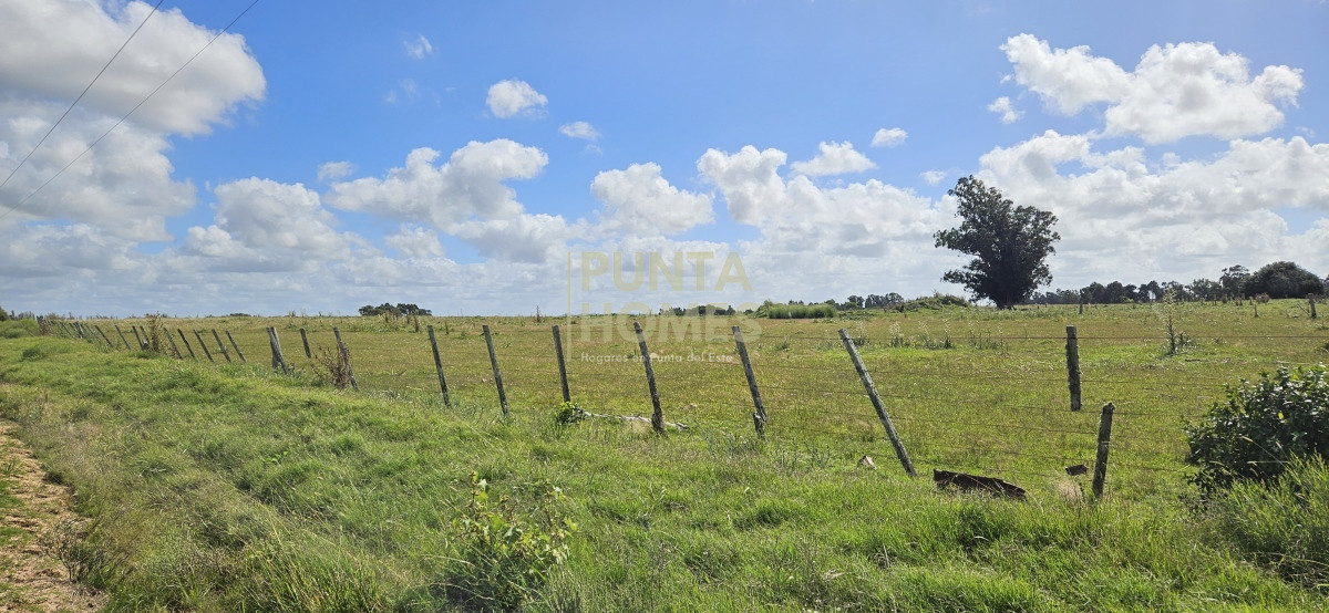 Chacra ID.3803 - Venta de chacra de 9 hs en José Ignacio, Punta del Este.