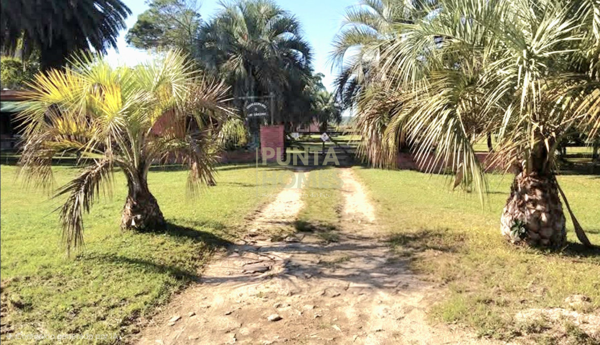 Chacra ID.3958 - Estatégica chacra en la entrada de Punta del Diablo