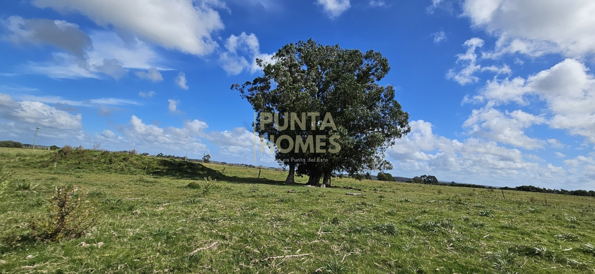 Chacra ID.3803 - Venta de chacra de 9 hs en José Ignacio, Punta del Este.