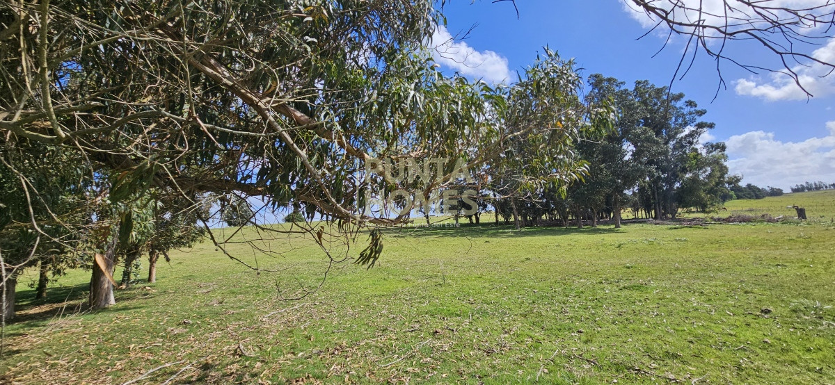 Chacra ID.3803 - Venta de chacra de 9 hs en José Ignacio, Punta del Este.