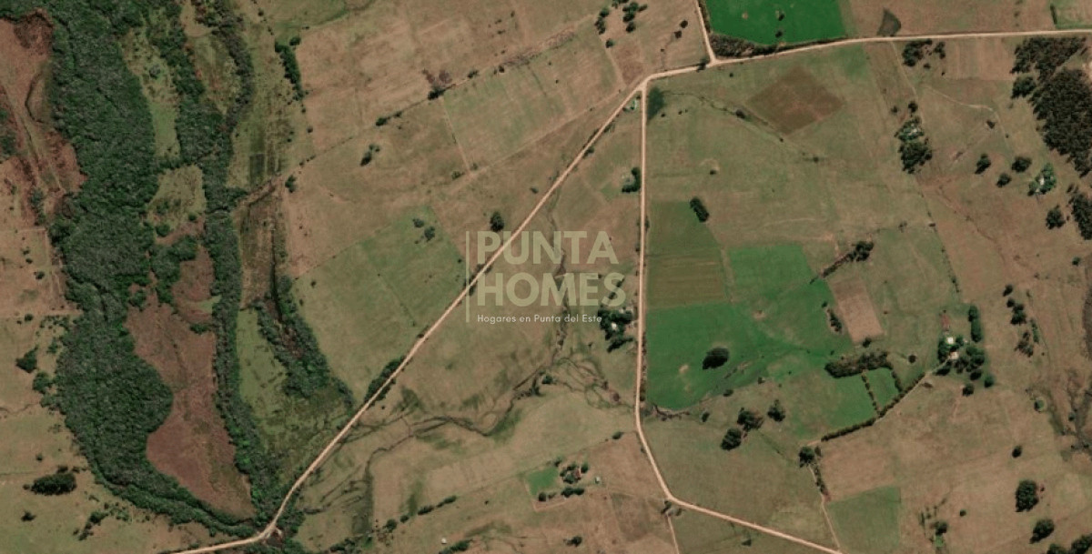 Chacra ID.3859 - Venta chacra de 5 hectáreas  por José Ignacio
