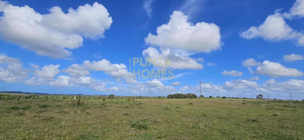 Chacra ID.3803 - Venta de chacra de 9 hs en José Ignacio, Punta del Este.
