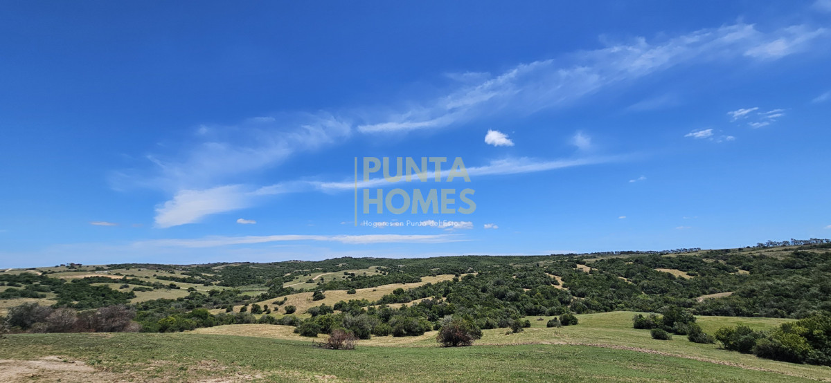 Chacra ID.3931 - Venta de Chacra de 5 hectáreas en Zona Pueblo Garzón  