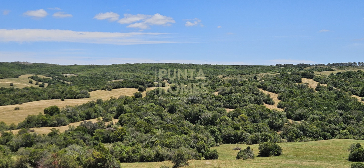 Chacra ID.3931 - Venta de Chacra de 5 hectáreas en Zona Pueblo Garzón  