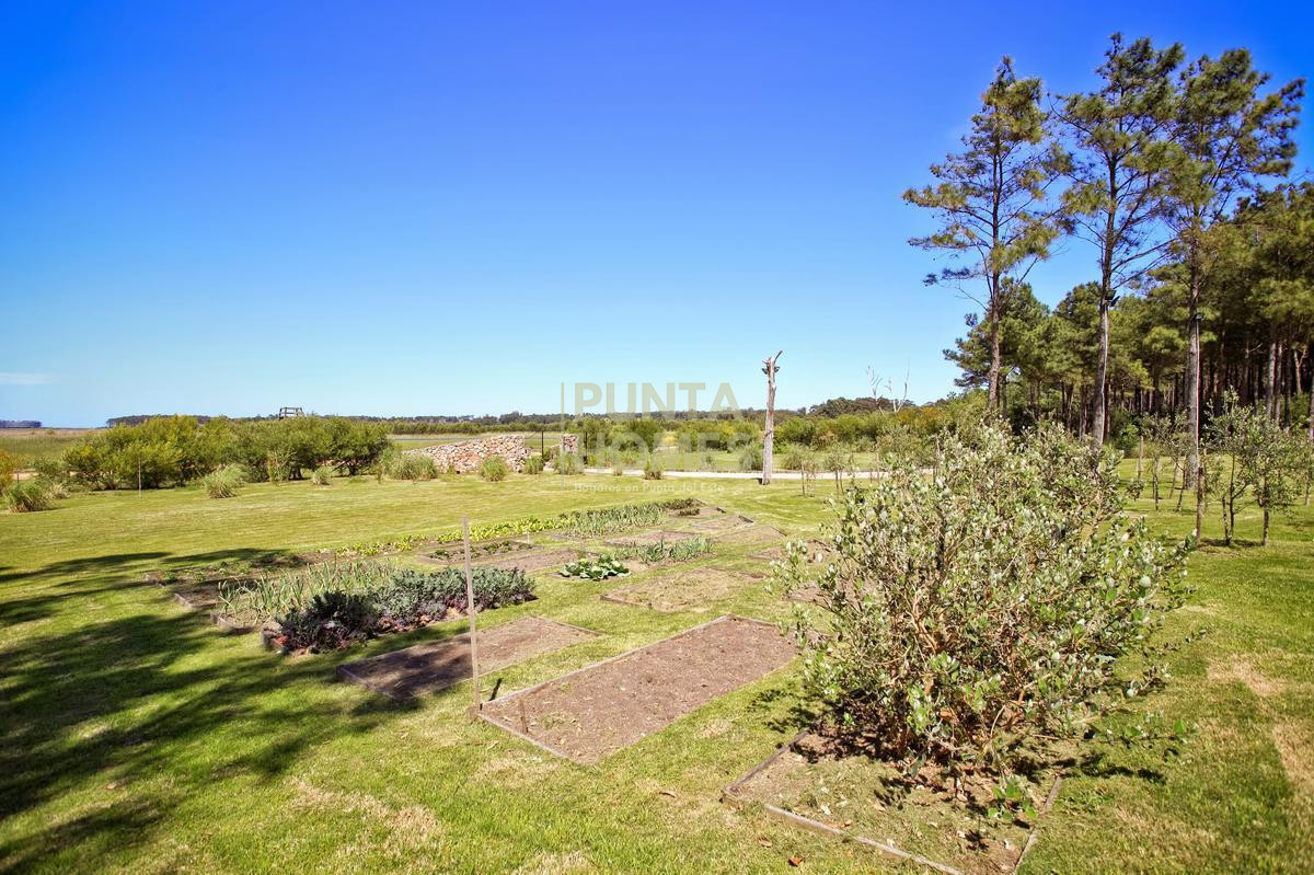 Chacra ID.1274 - Venta de chacra de 4 dormitorios en Punta del Este