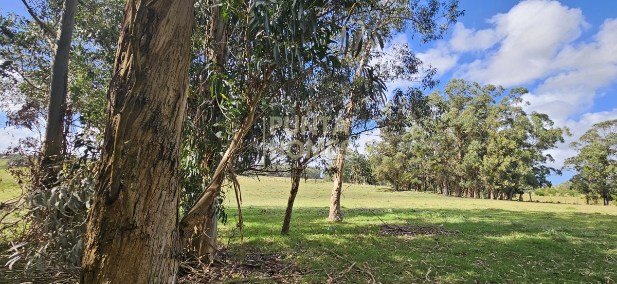 Chacra ID.3803 - Venta de chacra de 9 hs en José Ignacio, Punta del Este.