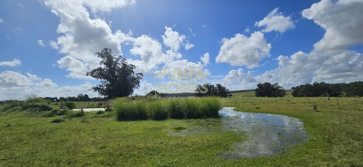 Chacra ID.3803 - Venta de chacra de 9 hs en José Ignacio, Punta del Este.
