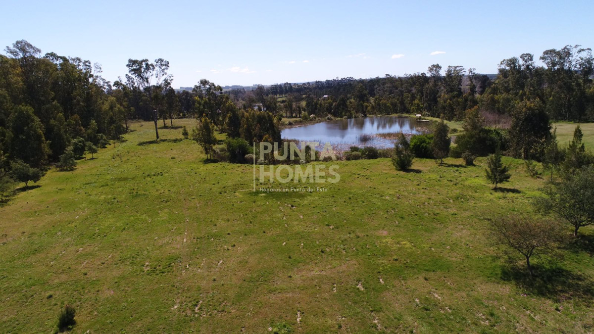 Campo Ref.858 - VENTA DE CAMPO CON CAÑADAS Y QUEBRADAS 