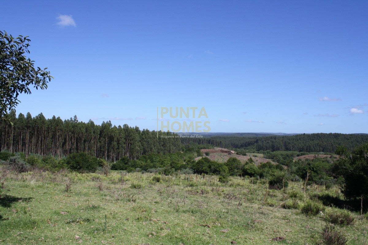 Campo Ref.858 - VENTA DE CAMPO CON CAÑADAS Y QUEBRADAS 