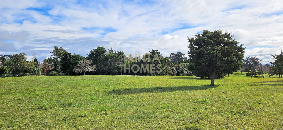 Terreno ID.3807 - Venta de Terreno de 2723 m² en Avenida Pedragosa Sierra, Punta del Este.