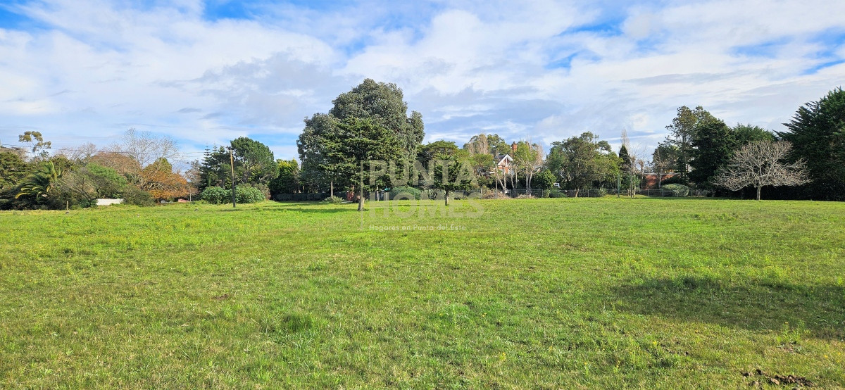Terreno ID.3807 - Venta de Terreno de 2723 m² en Avenida Pedragosa Sierra, Punta del Este.