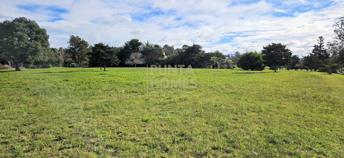 Terreno ID.3807 - Venta de Terreno de 2723 m² en Avenida Pedragosa Sierra, Punta del Este.