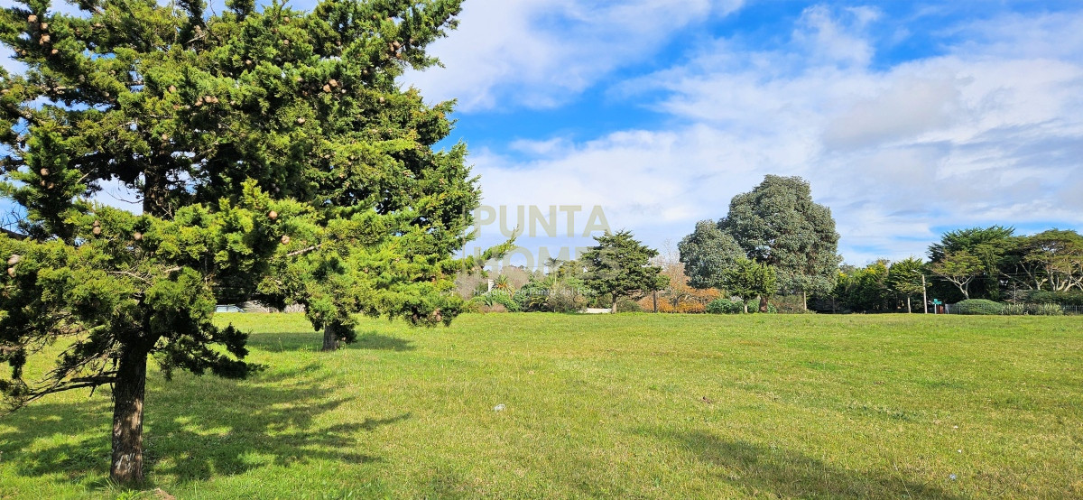 Terreno ID.3807 - Venta de Terreno de 2723 m² en Avenida Pedragosa Sierra, Punta del Este.