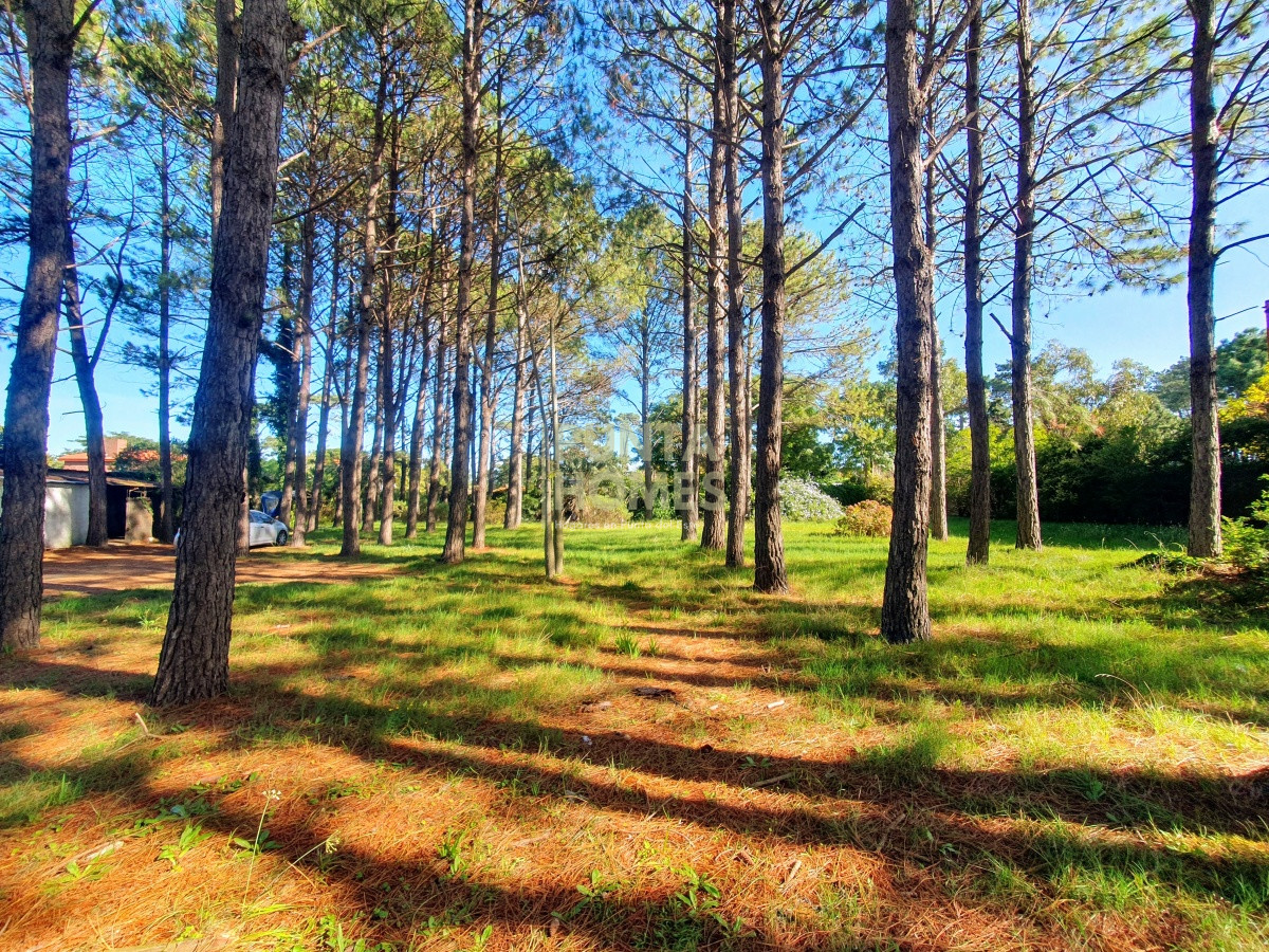 Terreno ID.1687 - Venta de Terreno de 6100 m2 con mejoras en Maldonado.