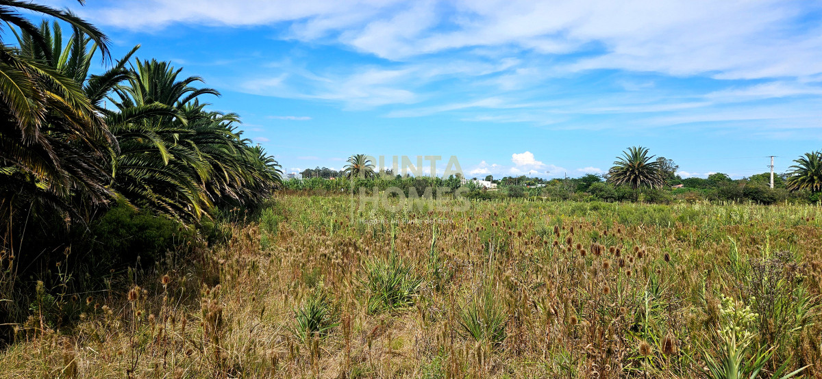 Terreno ID.3823 - Terreno en Venta en Rocha  Ubicación Estratégica en Ruta 9
