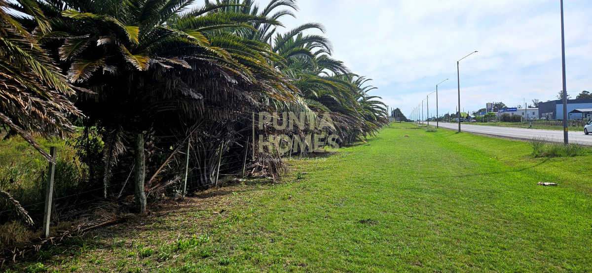 Terreno ID.3823 - Terreno en Venta en Rocha  Ubicación Estratégica en Ruta 9