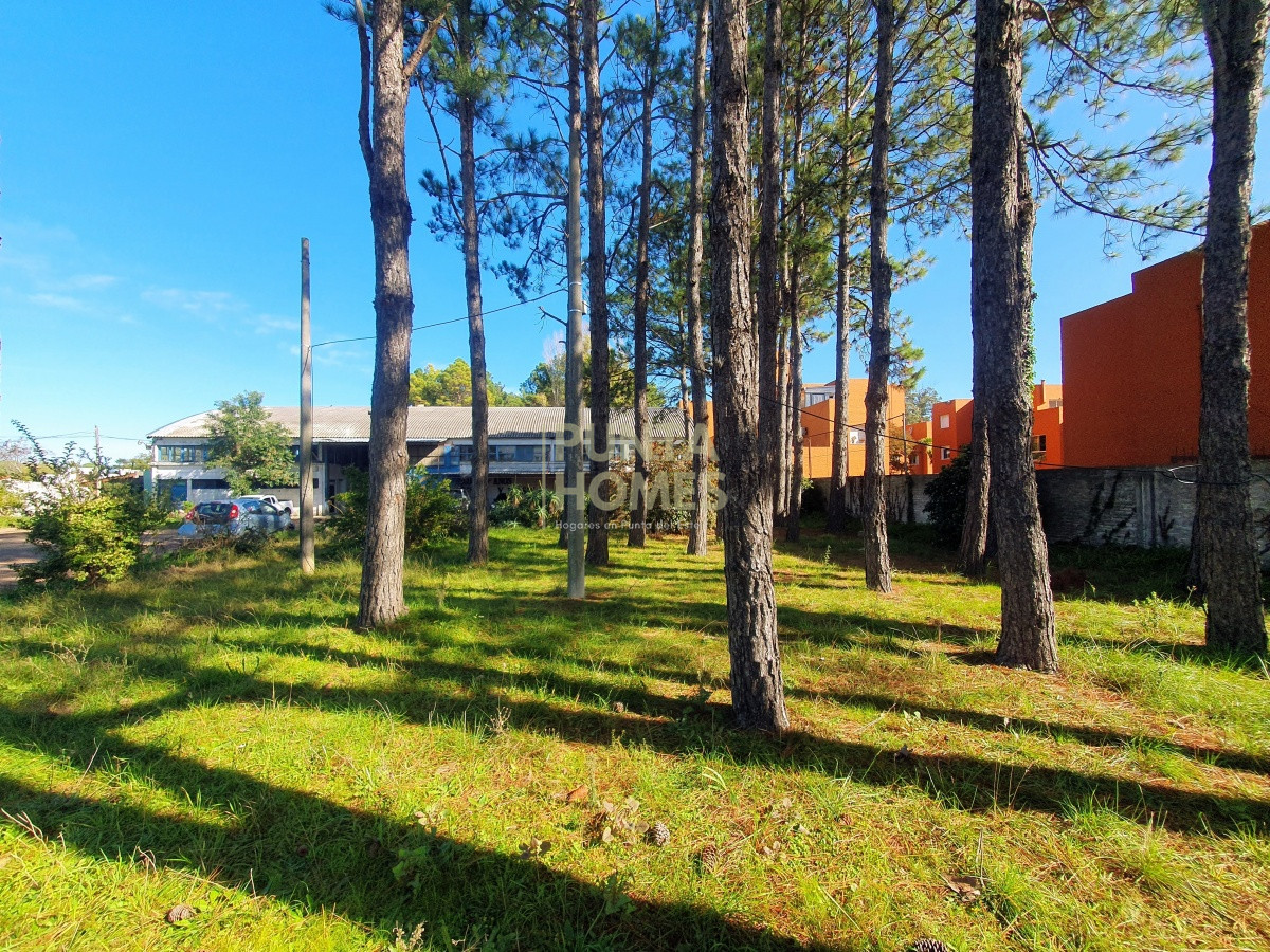 Terreno ID.1687 - Venta de Terreno de 6100 m2 con mejoras en Maldonado.
