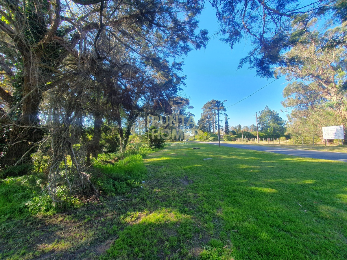 Terreno ID.3789 - Venta de Terreno de 2282 m2 en Avenida Pedragosa Sierra. Punta del Este.