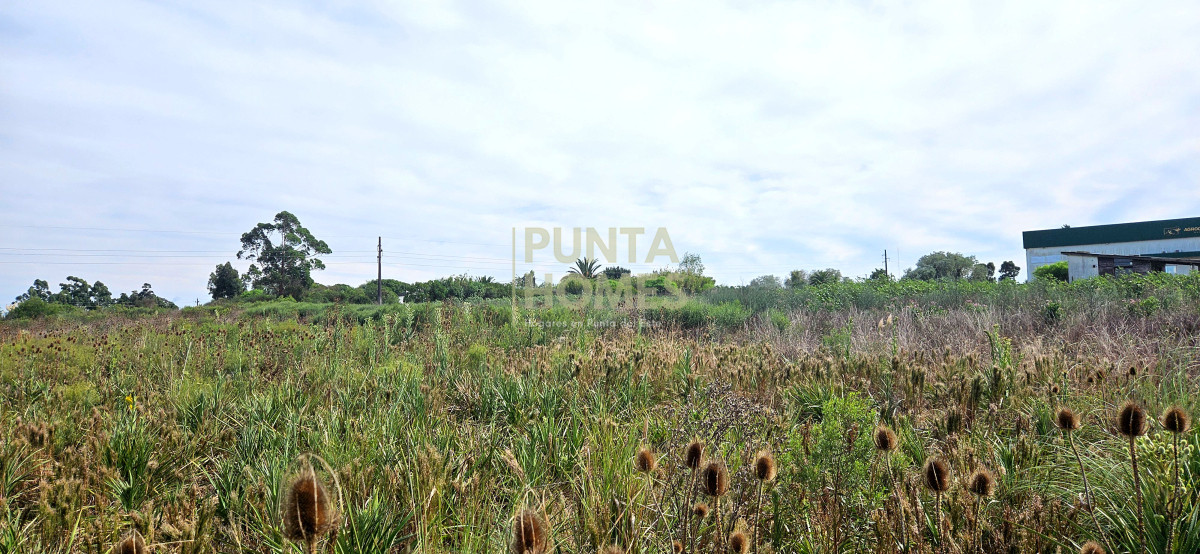 Terreno ID.3823 - Terreno en Venta en Rocha  Ubicación Estratégica en Ruta 9