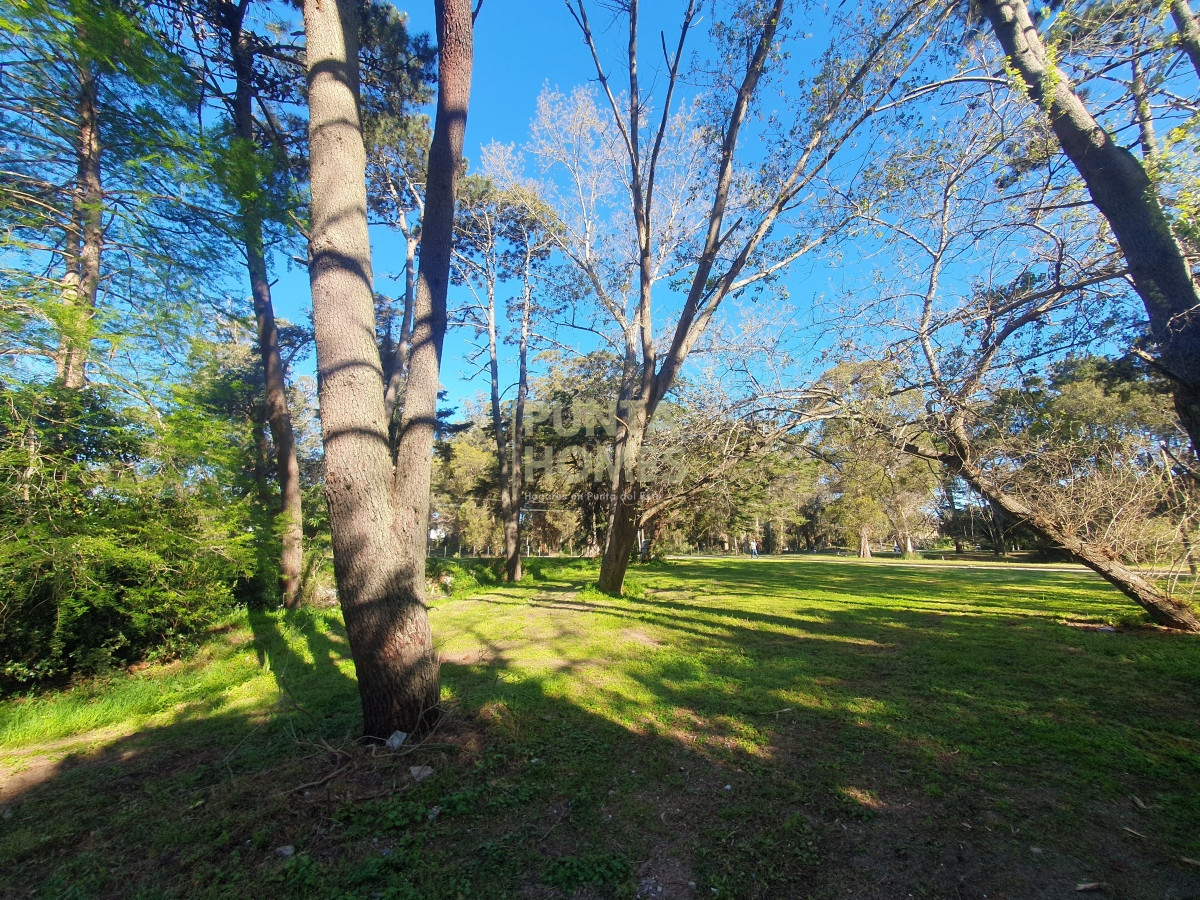 Terreno ID.3789 - Venta de Terreno de 2282 m2 en Avenida Pedragosa Sierra. Punta del Este.