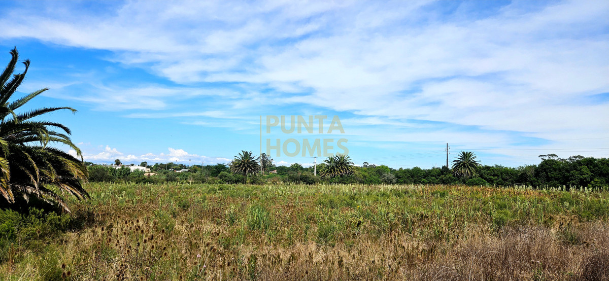 Terreno ID.3823 - Terreno en Venta en Rocha  Ubicación Estratégica en Ruta 9
