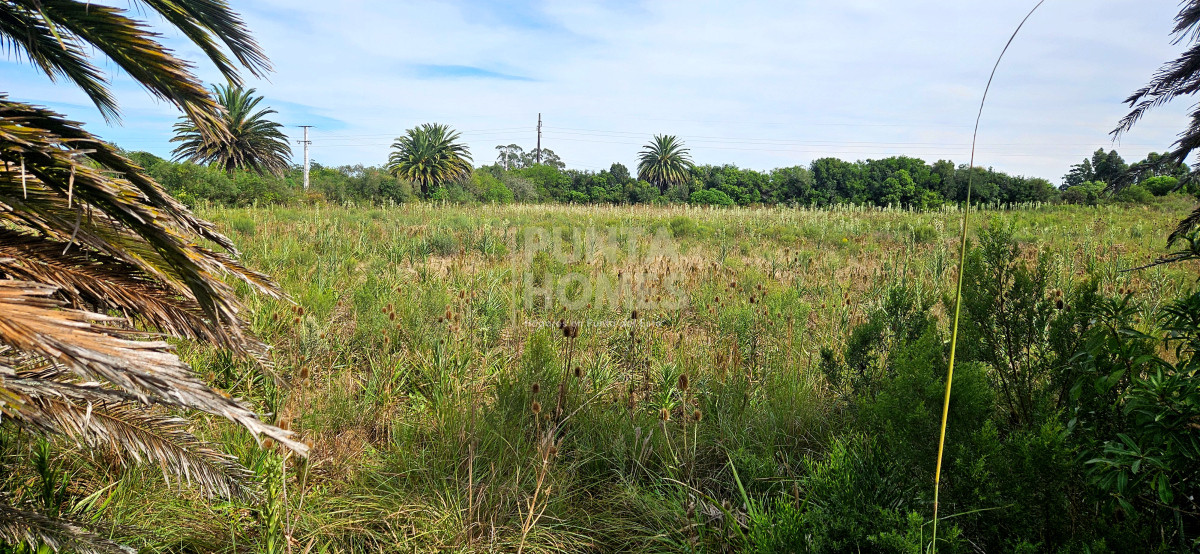 Terreno ID.3823 - Terreno en Venta en Rocha  Ubicación Estratégica en Ruta 9