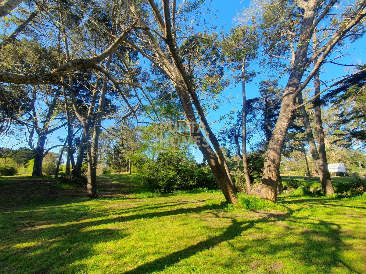Terreno ID.3789 - Venta de Terreno de 2282 m2 en Avenida Pedragosa Sierra. Punta del Este.