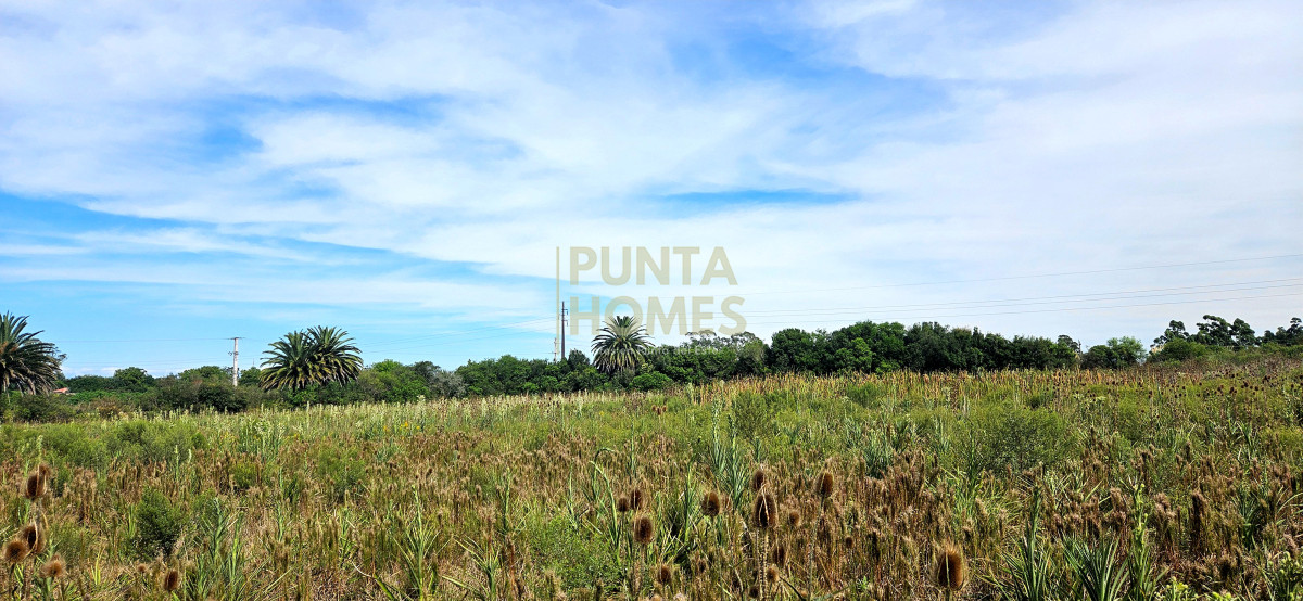 Terreno ID.3823 - Terreno en Venta en Rocha  Ubicación Estratégica en Ruta 9